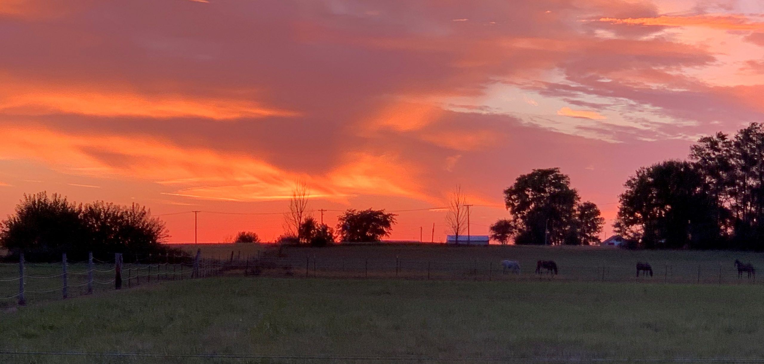 Farm Sunset cropped